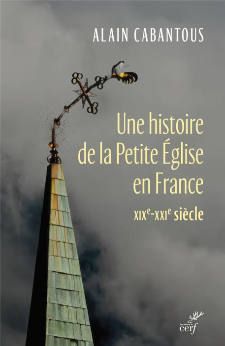 Emprunter Une histoire de la Petite Eglise en France. XIXe-XXIe siècle livre