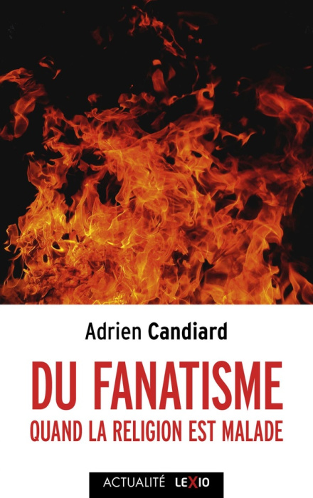 Emprunter Du fanatisme. Quand la religion est malade livre