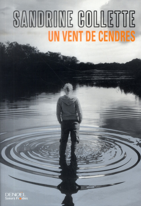 Emprunter Un vent de cendres livre