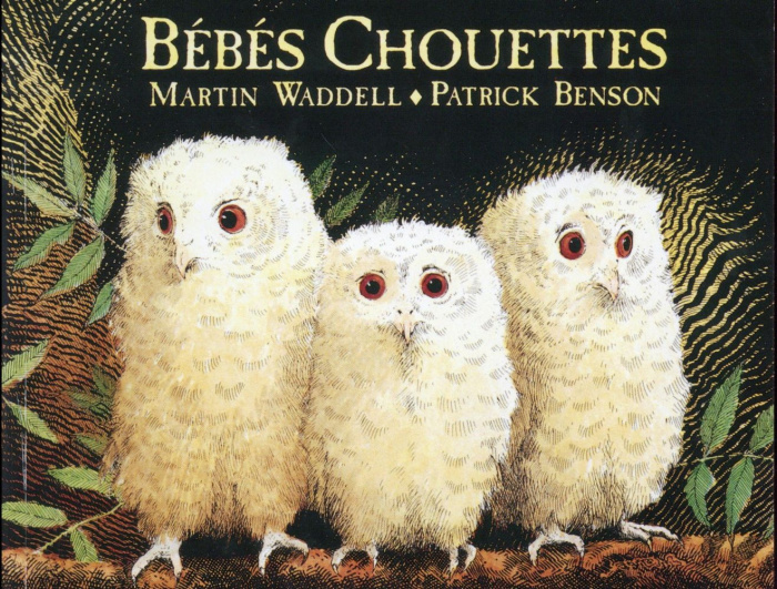 Emprunter Bébés chouettes livre