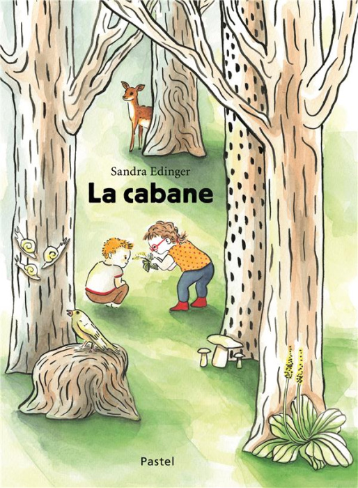 Emprunter La cabane livre
