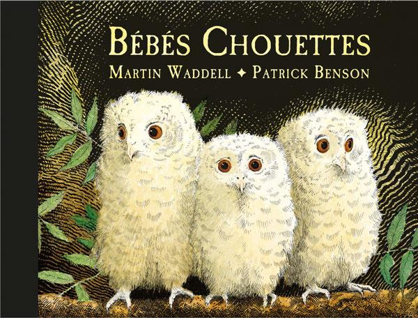 Emprunter Bébés Chouettes livre