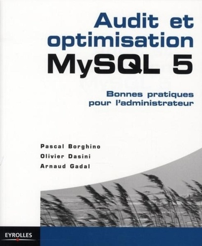 Emprunter Audit et optimisation MySQL 5. Bonnes pratiques pour l'administrateur livre
