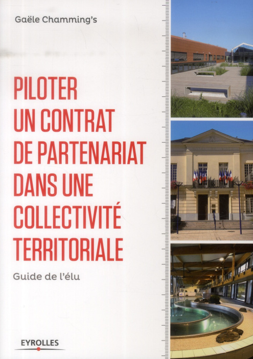 Emprunter Piloter un contrat de partenariat dans une collectivité territoriale. Guide de l'élu livre