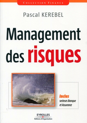 Emprunter Management des risques. Inclus secteurs Banque et Assurance livre