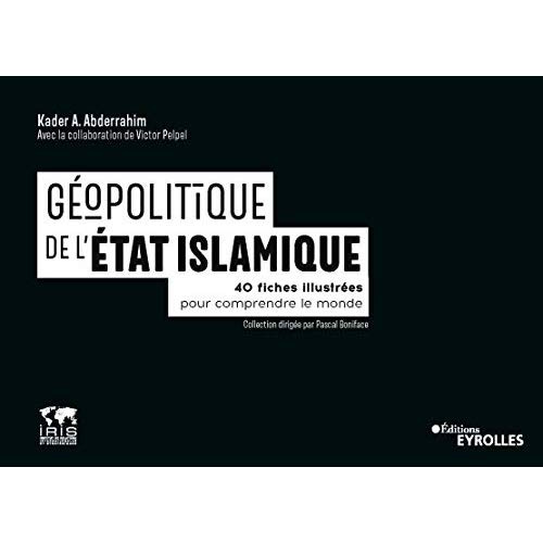 Emprunter Géopolitique du groupe de l'Etat Islamique. 40 fiches illustrées pour comprendre le monde livre