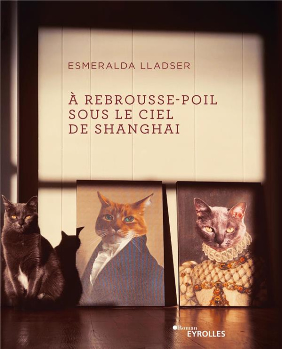 Emprunter A rebrousse-poil sous le ciel de Shanghai livre