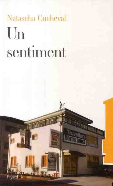 Emprunter Un sentiment livre