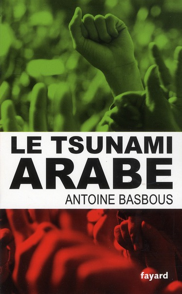 Emprunter Le tsunami arabe livre