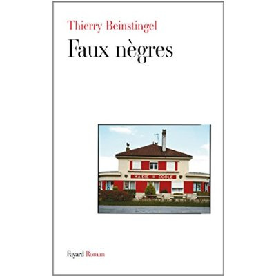 Emprunter Faux nègres livre