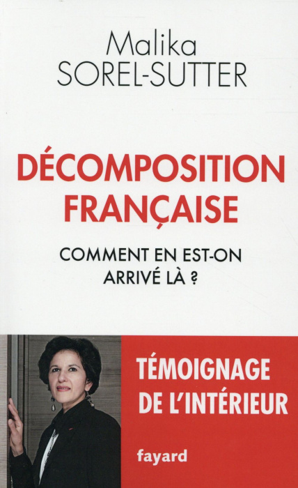 Emprunter Décomposition française. Comment en est-on arrivé là ? livre