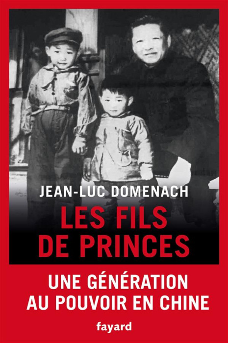 Emprunter Les fils de princes livre