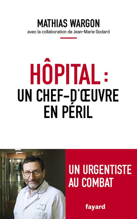 Emprunter Hôpital : un chef-d'oeuvre en péril livre