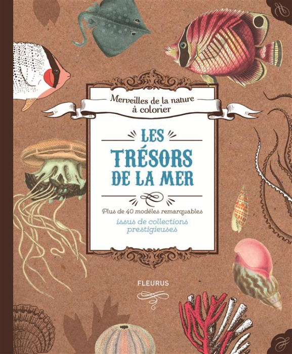 Emprunter Les trésors de la mer. Plus de 40 modèles remarquables issus de collections prestigieuses livre