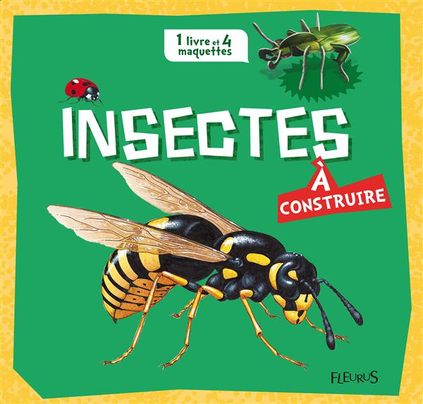 Emprunter Insectes à construire livre