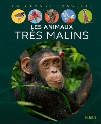 Emprunter Les animaux très malins livre
