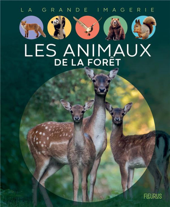 Emprunter Les animaux de la forêt livre