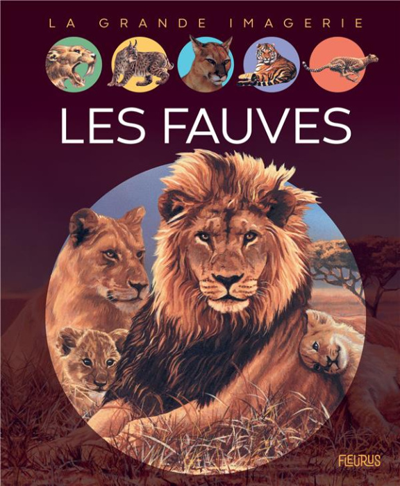 Emprunter Les fauves livre