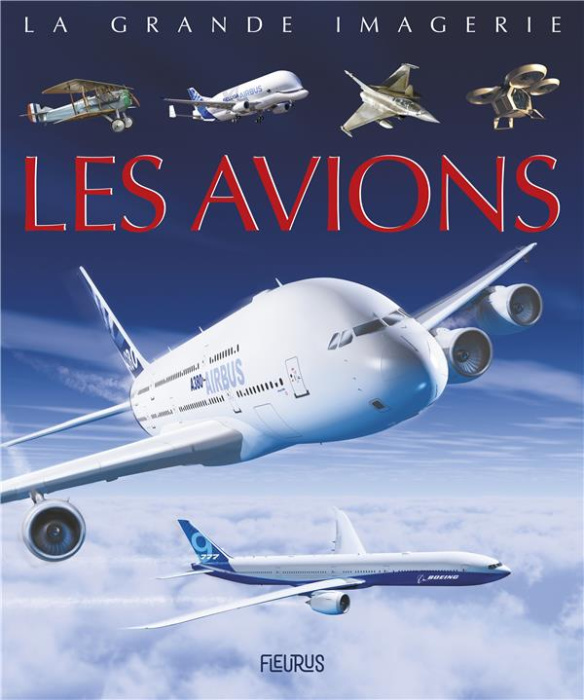 Emprunter Les avions livre