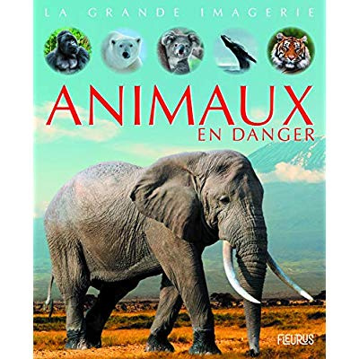 Emprunter Animaux en danger livre