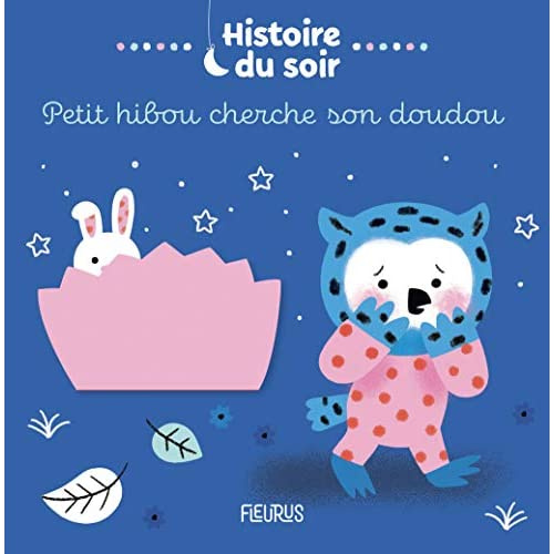Emprunter Petit hibou cherche son doudou livre
