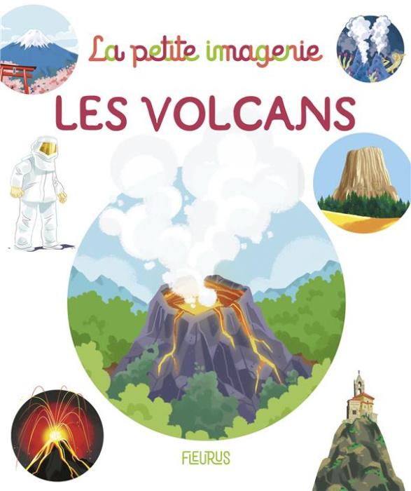 Emprunter Les volcans livre