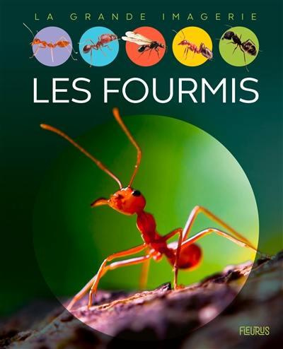 Emprunter Les fourmis livre