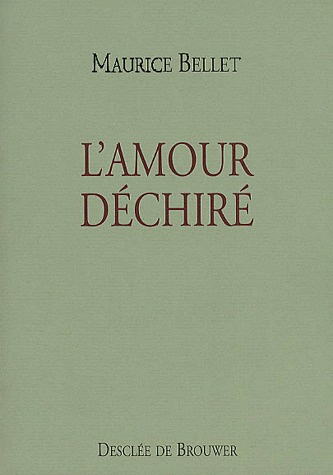 Emprunter L'amour déchiré livre