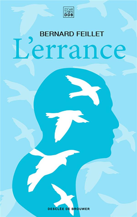 Emprunter L'errance livre