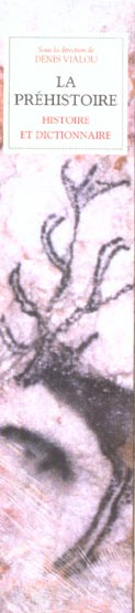 Emprunter La préhistoire. Histoire et Dictionnaire livre