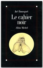 Emprunter Le Cahier noir livre