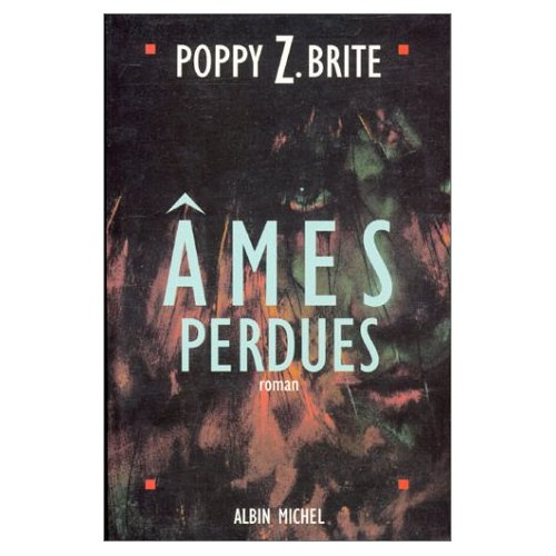 Emprunter Ames perdues livre