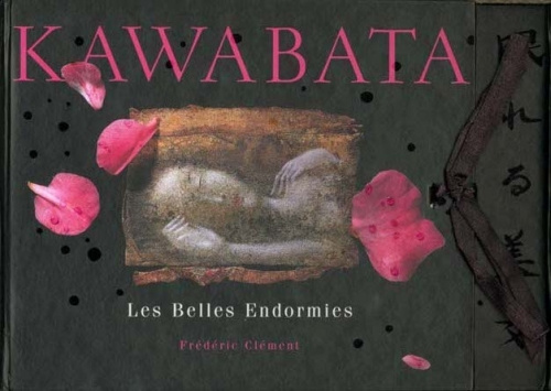 Emprunter LES BELLES ENDORMIES livre