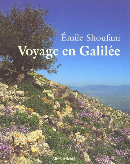 Emprunter Voyage en Galilée livre
