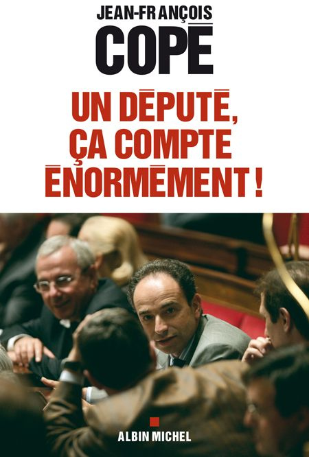 Emprunter Un député, ça compte énormément ! Quand le parlement s'éveille livre