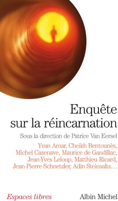 Emprunter Enquête sur la réincarnation livre