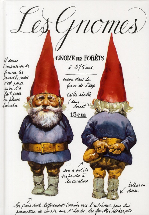 Emprunter Les gnomes livre