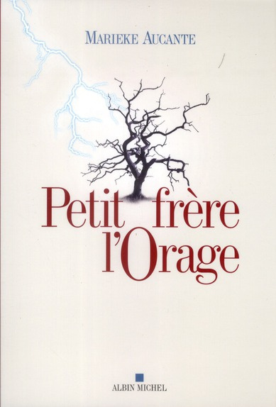 Emprunter Petit frère l'orage livre