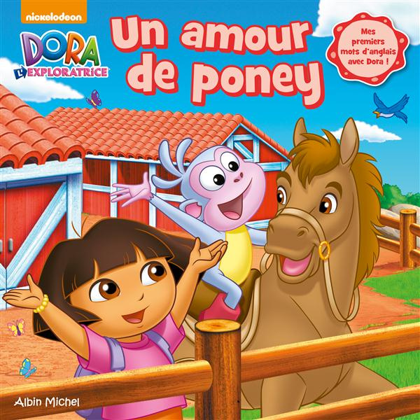 Emprunter Un amour de poney livre