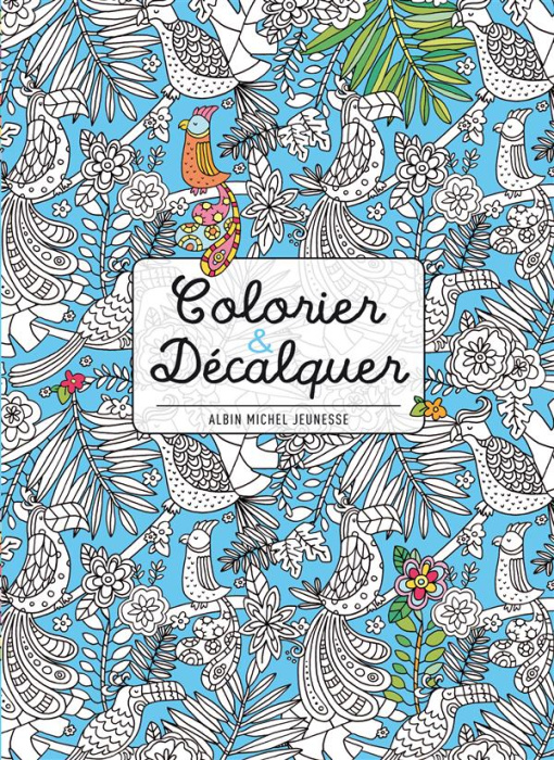 Emprunter COLORIER & DECALQUER livre