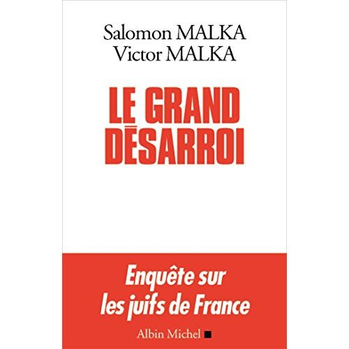 Emprunter Le grand désarroi livre