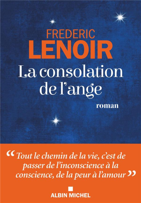 Emprunter La consolation de l'ange livre