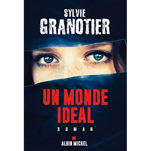 Emprunter Un monde idéal livre
