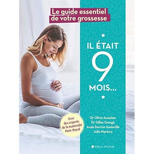 Emprunter Il était 9 mois. Le guide essentiel de votre grossesse livre