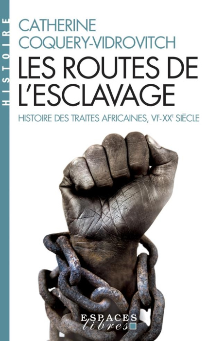 Emprunter Les routes de l'esclavage. Histoire des traites africaines VIe-XXe siècle livre