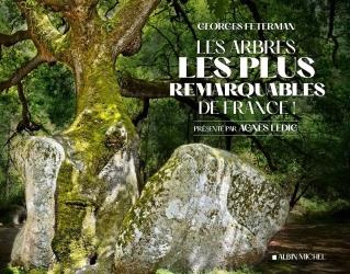 Emprunter Les Arbres les plus remarquables de France livre
