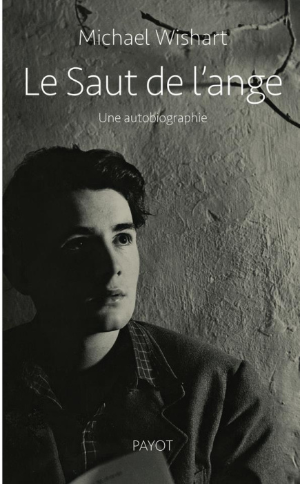 Emprunter Le saut de l'ange livre