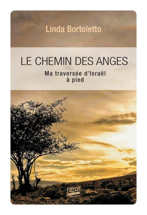 Emprunter Le chemin des anges. Ma traversée d'Israël à pied livre