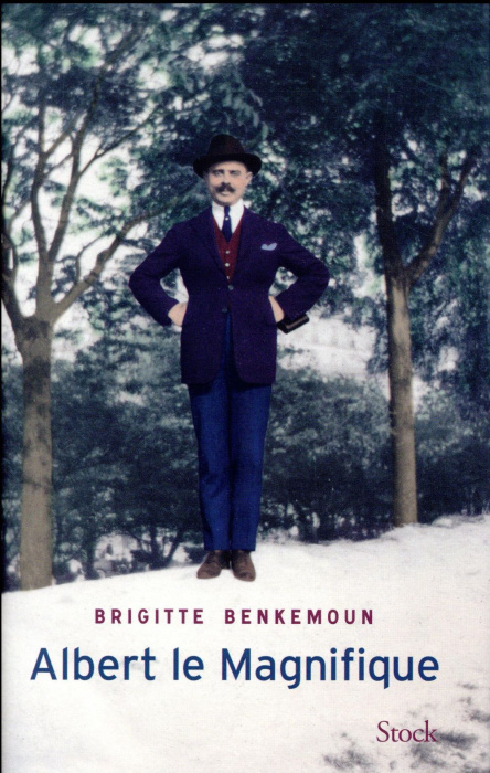 Emprunter Albert le Magnifique livre