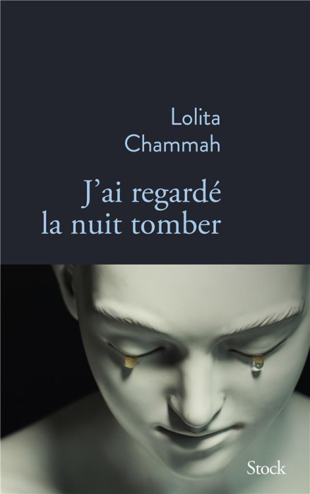 Emprunter J'ai regardé la nuit tomber livre